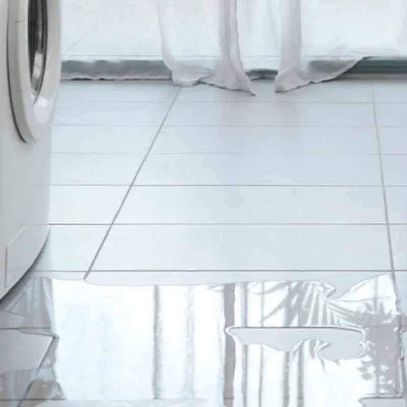 Appliance Leak Cleanup in Columbia Falls, MT