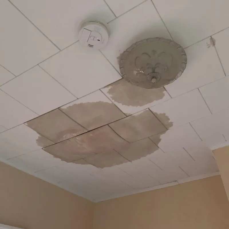 Ceiling Water Damage Repair in Columbia Falls, MT